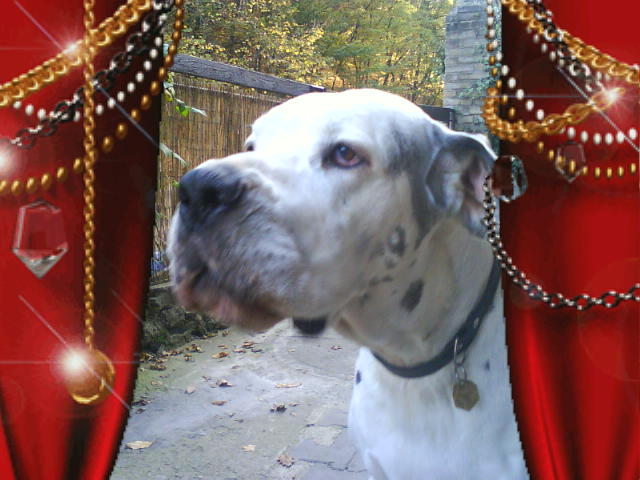 DSC00006.JPG