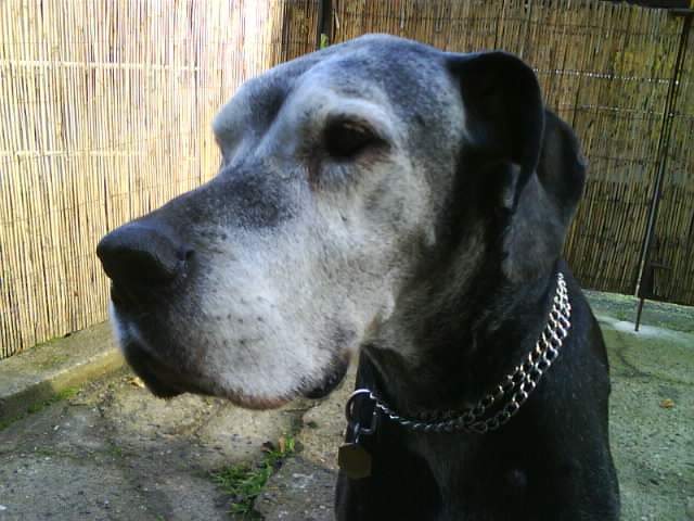 DSC00034.JPG