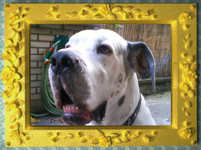 DSC00008.JPG